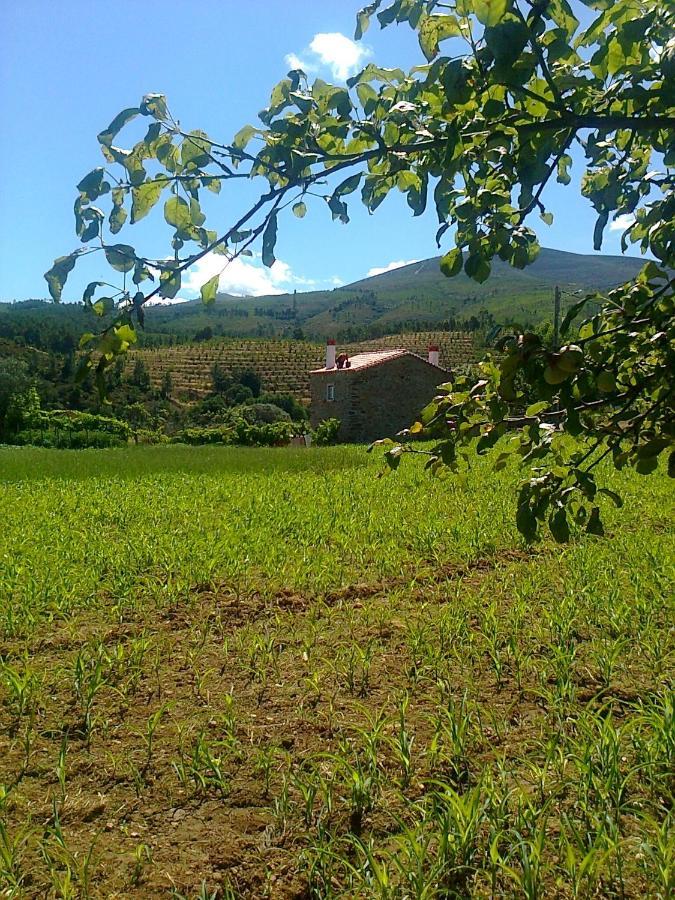 Casa Do Salgueiral Villa Fundão Екстериор снимка