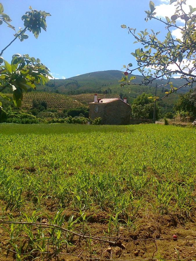 Casa Do Salgueiral Villa Fundão Екстериор снимка